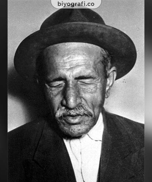 Aşık Veysel - Veysel Şatıroğlu Kimdir