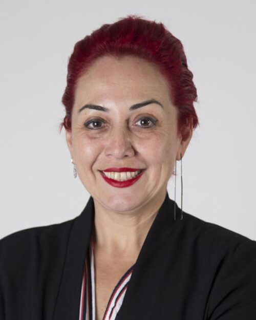 Dr. Aylin Sözer kimdir