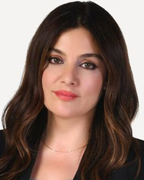 Hülya Hökenek kimdir