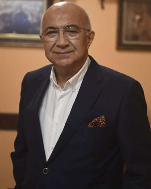 Prof. Dr. Arif Verimli kimdir