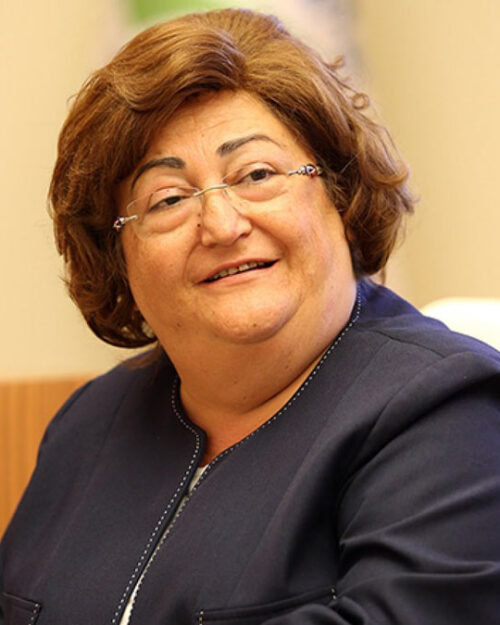 Güldal Akşit kimdir