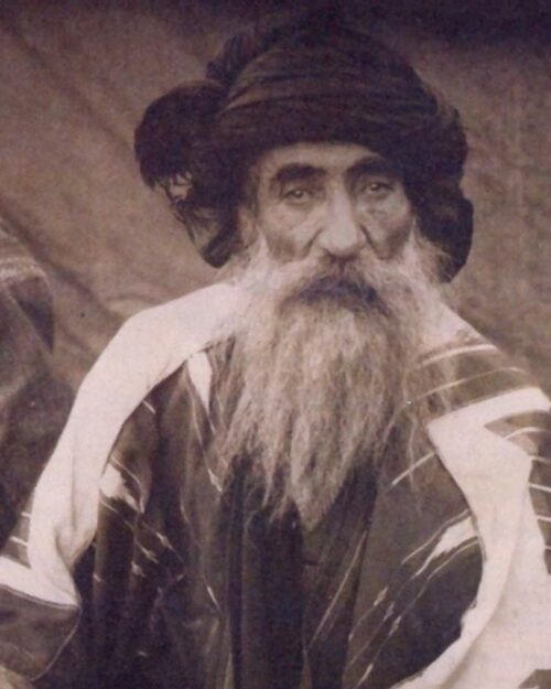 Seyit Rıza kimdir