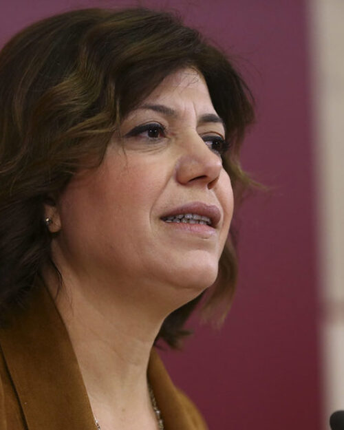 Meral Danış Beştaş kimdir