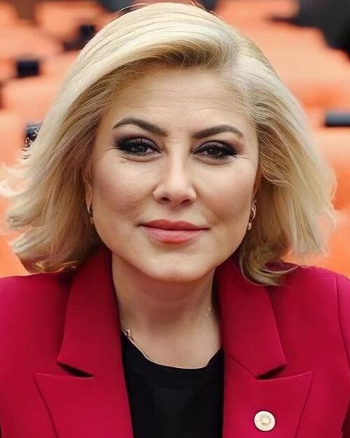 Şebnem Bursalı kimdir