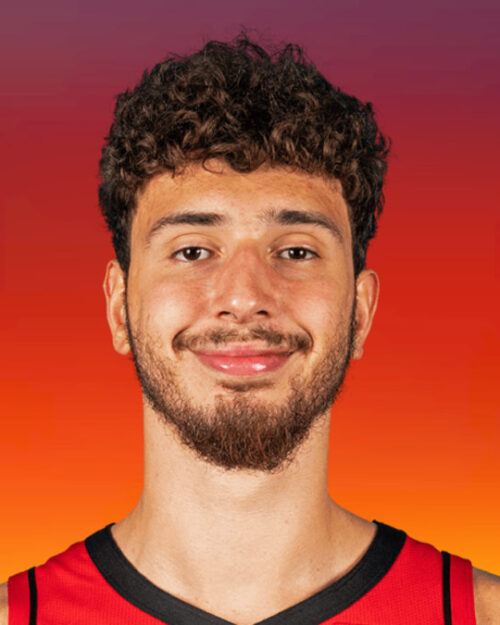 Alperen Şengün kimdir