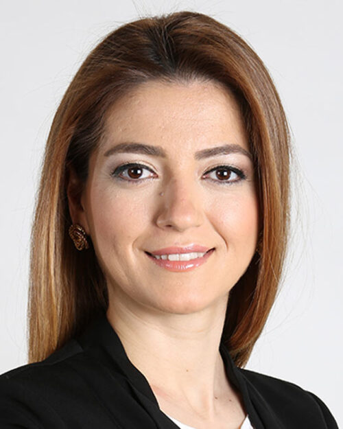 Gökçen Oğan kimdir