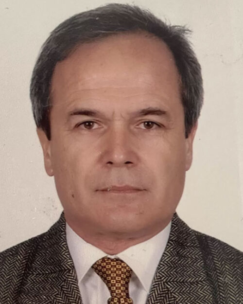 Ergun Mengi kimdir