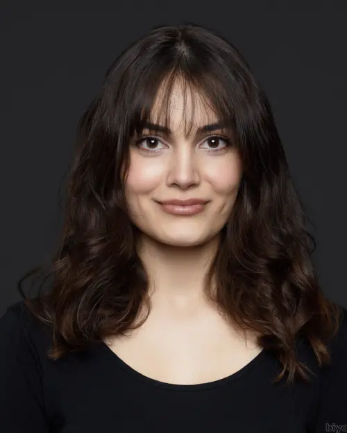 Otomatik taslak - Biyografi.co